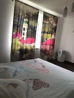 Central Home Piatra Neamţ